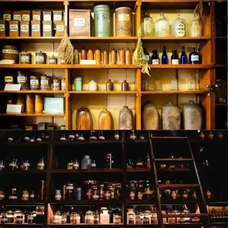 The Holistic Home Apothecary B - đánh giá và giá Herbal Wellness Book