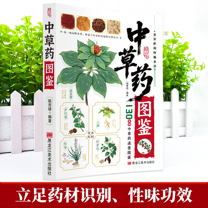 Illustrated Guide  Chinese Her - đánh giá và giá Herbal Wellness Book