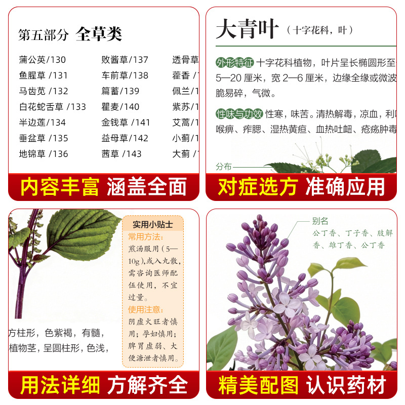 Illustrated Guide  Chinese Her - đánh giá và giá Herbal Wellness Book
